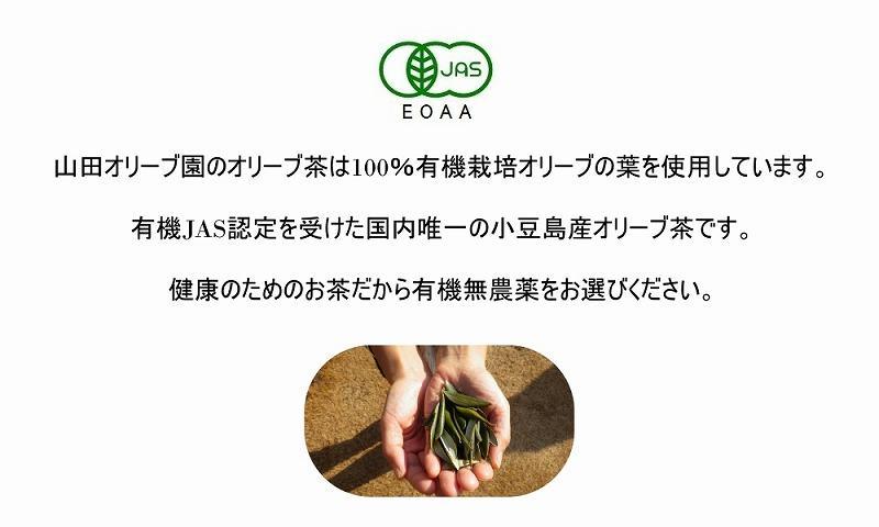 小豆島産有機オリーブ茶3袋セット（1袋に10ティーパック×3袋＝30パック）／唯一の国産有機JAS認定オリーブ葉使用 ノンカフェイン オレウロペイン 抗酸化作用