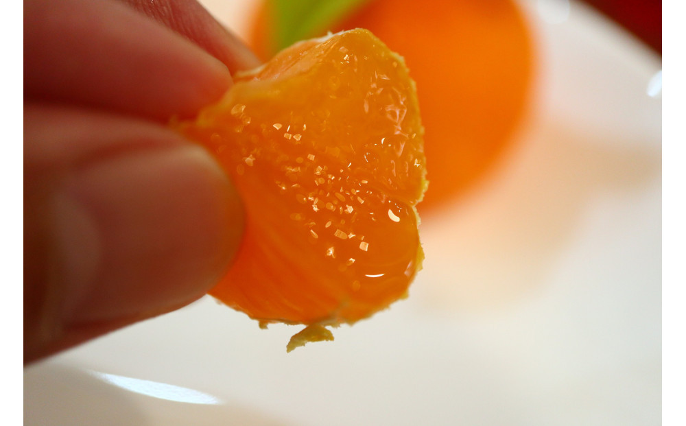 小原紅早生みかん(露地) 3.0kg