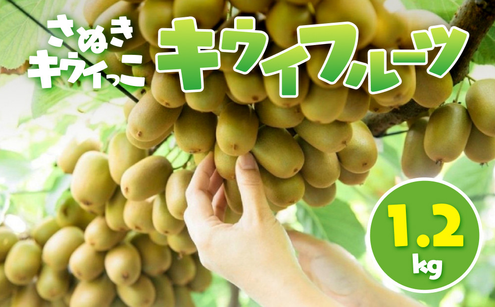さぬきキウイっこ キウイフルーツ 1.2kg