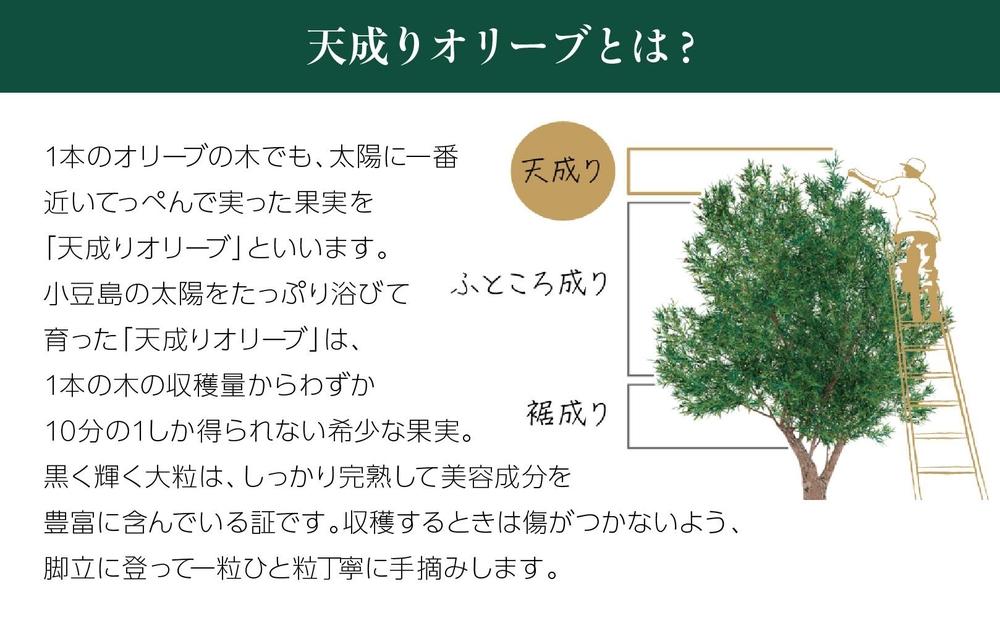 【井上誠耕園】～2024年度産搾りたて～ 井上誠耕園産エッセンシャルオリーブオイル 8ml【化粧用】