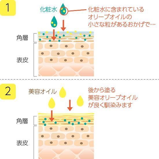 井上誠耕園 オリーブ化粧水（ナチュラルスキンローション） 2本