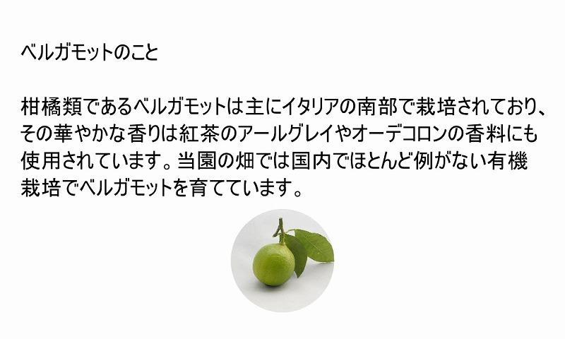 小豆島産ベルガモットのシロップ2本セット 190g×2本