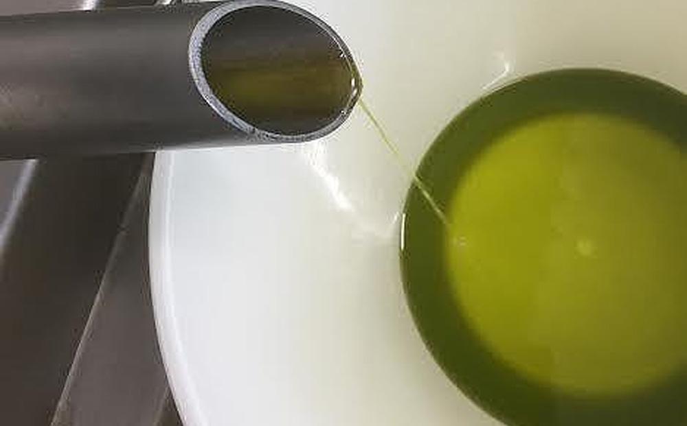 ãžã§ã€ããã®ãªãªãŒããªã€ã«ãããã·ã§ã³çš®ã3æ¬ã»ãã ã³ã³ããã§ãŒããã¡ãŒã 㺠ãšãã¹ãã©ããŒãžã³ãªã€ã« 2025幎åç©« 100ïŒ
å°è±å³¶ç£ ææã¿