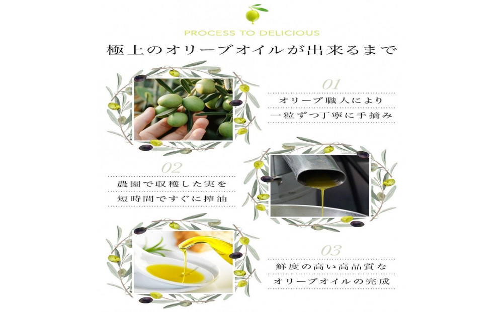 縲仙ョ壽悄萓ソ蜈ィ6蝗槭大ー剰ア蟲カ逕」100シ縲檎エ斐阪お繧ュ繧ケ繝医Λ繝舌シ繧ク繝ウシEXVシ峨が繝ェ繝シ繝悶が繧、繝ォ200mlシ亥腰蜩シ1譛ャ