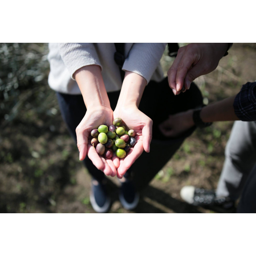 小豆島産エキストラバージンオリーブオイル”ハンドメイド”1本とスペイン産純粋オリーブオイル1本／ 合計2本セット