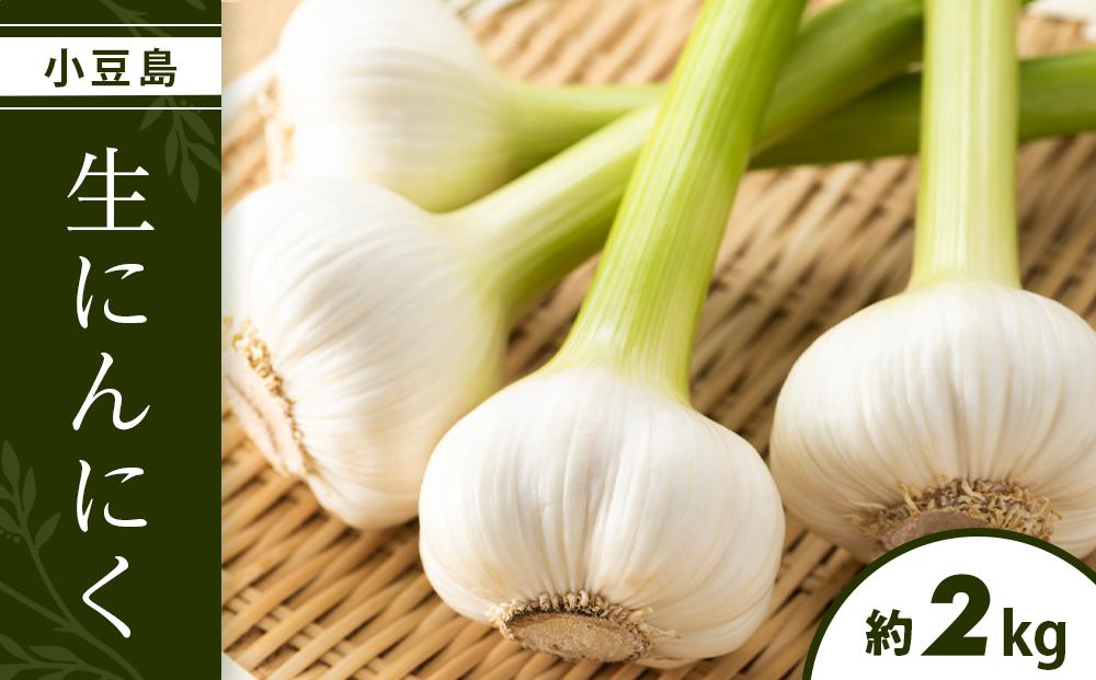 小豆島 生にんにく 2kg