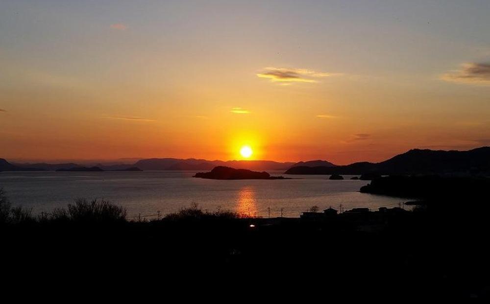 【定期便 全3回】ジェイさんのオリーブオイル《ルッカ種》毎月お届け コンパニョーニファームズ エキストラバージンオイル 2025年収穫 100％小豆島産 手摘み