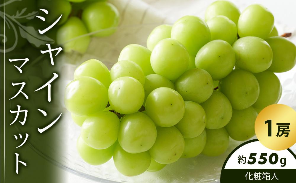 シャインマスカット 1房化粧箱入り (約550g)