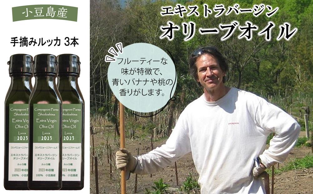 先行予約 ジェイさんのオリーブオイル《ルッカ種》3本セット コンパニョーニファームズ エキストラバージンオイル 2025年収穫 100％小豆島産 手摘み