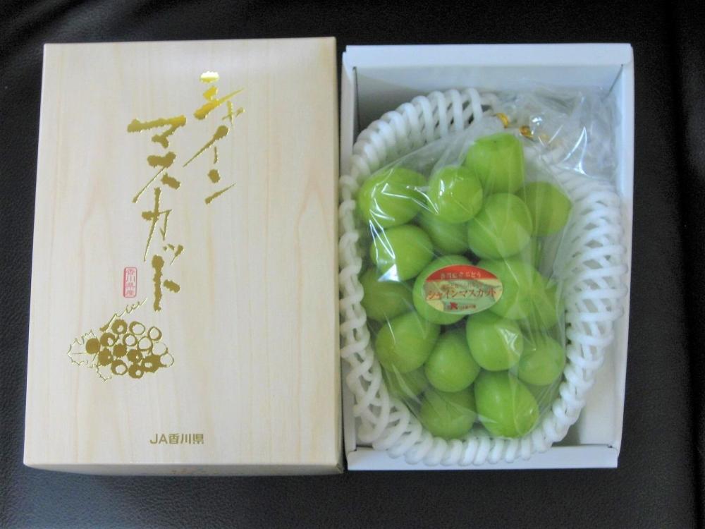 シャインマスカット 1房化粧箱入り (約550g)