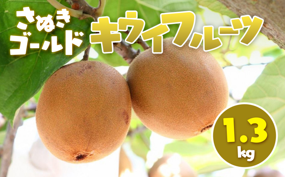 さぬきゴールド キウイフルーツ 1.3kg
