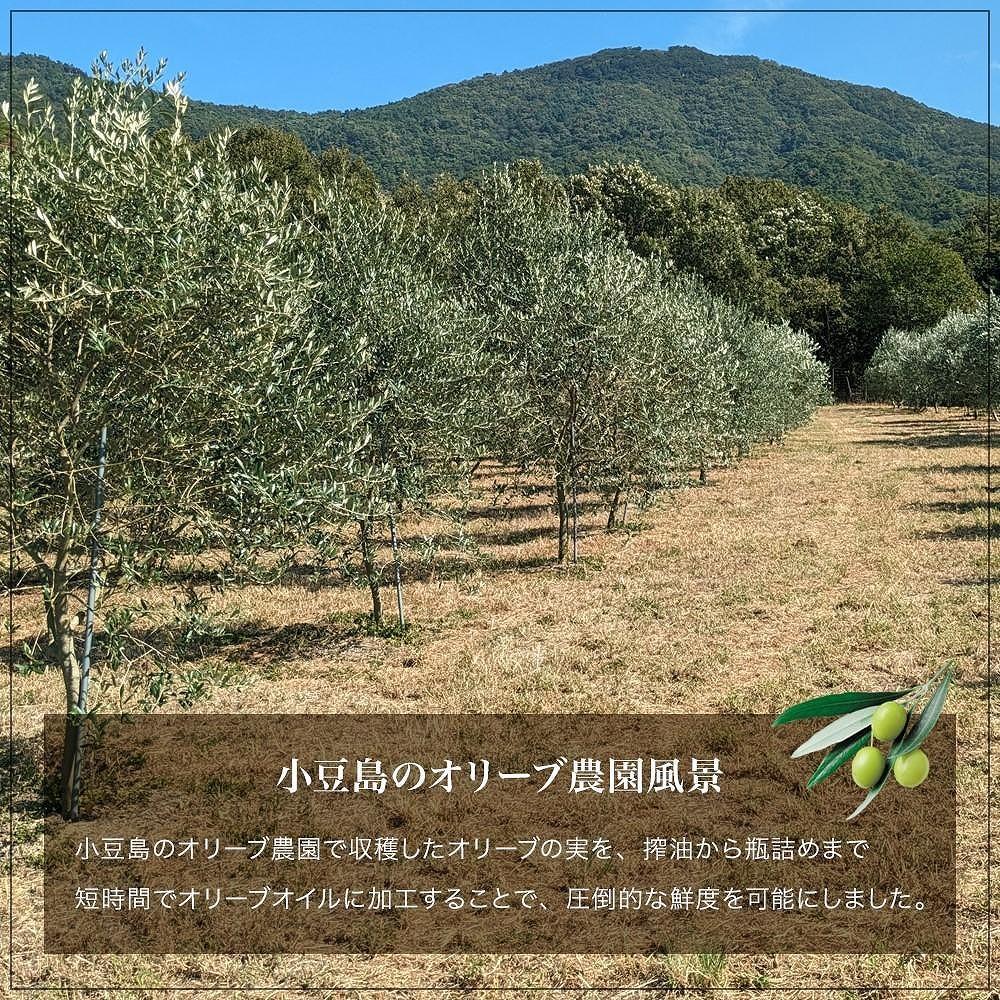 【ギフト用】小豆島産100％エキストラバージン(EXV) オリーブオイル(単品) 100ml×2本