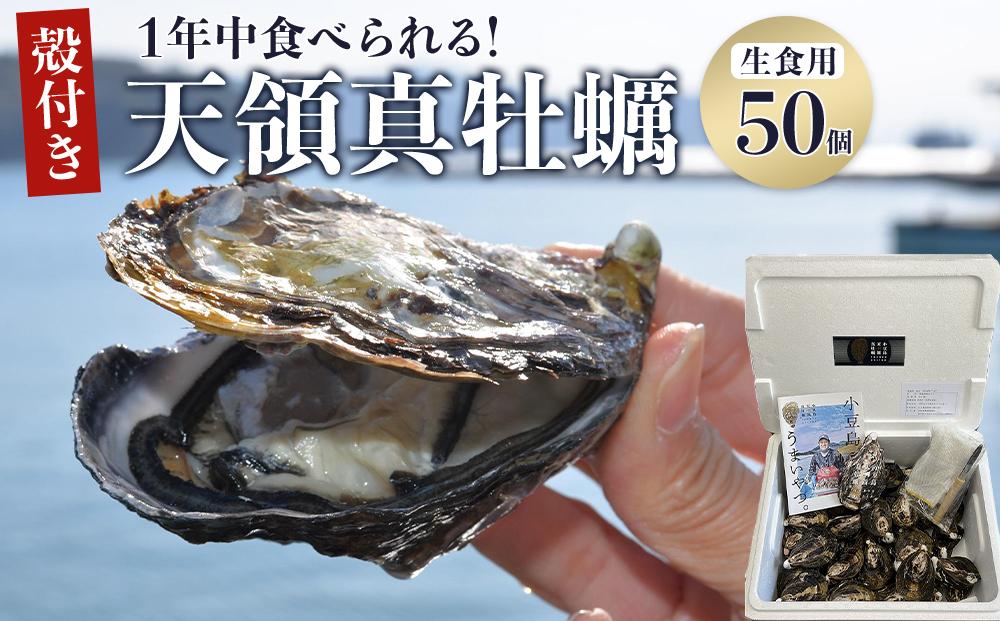 小豆島 天領真牡蠣 (殻付き生食用) 50個セット