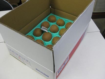 縲舌&縺ャ縺崎ョ繝輔Ν繝シ繝縲代&縺ャ縺阪ざ繝シ繝ォ繝峨く繧ヲ繧、 邏3.5kg