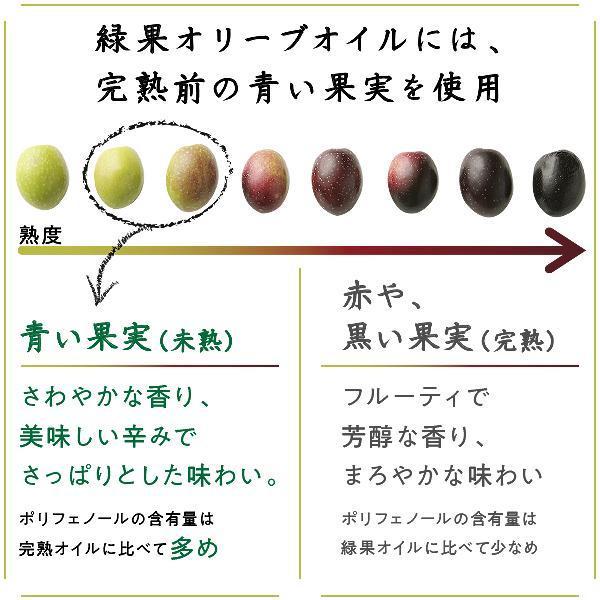 【井上誠耕園】～2024年搾りたて～ エキストラヴァージン緑果オリーブオイル (450g×2本)