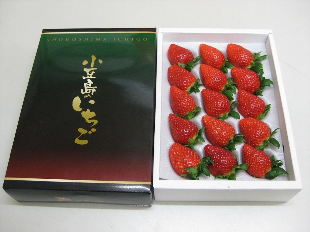 蟆剰ア蟲カ螂ウ蟲ー縺縺。縺 蛹也イァ邂ア蜈・繧 邏400g