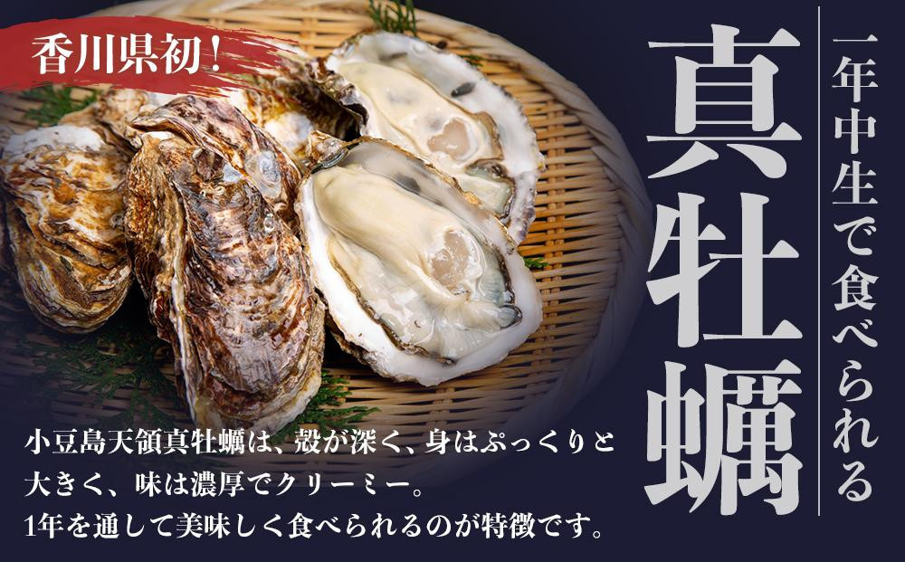 小豆島 天領真牡蠣 (殻付き生食用) 25個セット