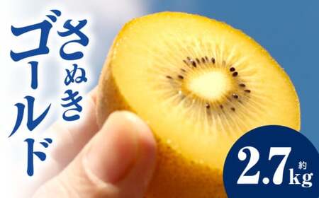キウイフルーツ(さぬきゴールド)　2.7kg | キウイ フルーツ 果物 旬 旬の果物 キウイフルーツ デザート 生鮮食品 贈り物 贈答 お裾分け おすすめ 人気 ギフト グルメ 特産品 果肉 季節 季節の果物 香川県 三木町 |_mk165-011
