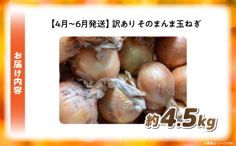 訳ありそのまんま玉ねぎ 約4.5kg |玉ねぎ 野菜 甘い オニオン 香川 香川県 三木町 みずみずしい 訳あり 生産者応援 ご家庭用 |_mk006-119