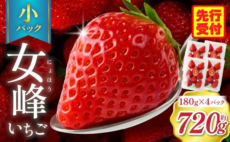 【苺ファーム森本】女峰いちご 小パック180ｇ×4パック ≪IDOMALL セレクト≫|いちご ストロベリー 女峰 苺 冷蔵 フルーツ 旬 果物 香川県 デザート 青果物 贈答 プレゼント パック 贈り物 おすすめ|_mk048-007