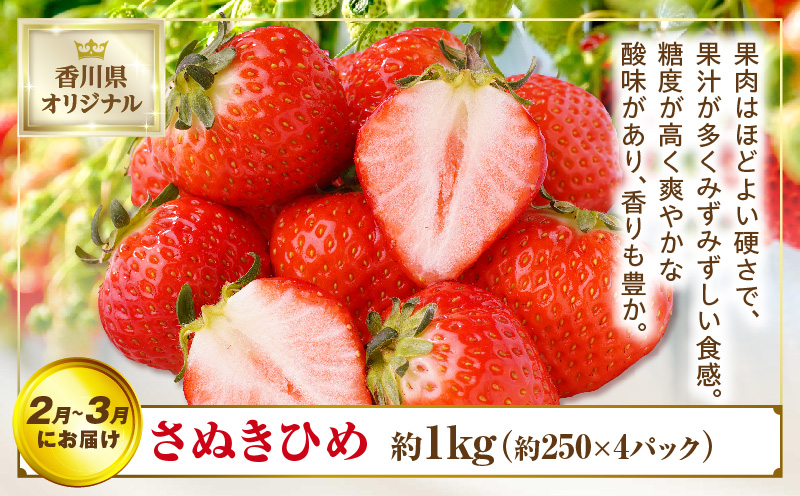 さぬき旬のフルーツ満足 3回定期便 | フルーツ定期便 果物 フルーツ 青果 青果物 いちご みかん シャインマスカット さぬきひめ 小原紅早生みかん マスカット 旬の果物 季節の果物 贈答 贈り物 ギフト 化粧箱 取り寄せ 香川県 三木町 送料無料 |_mk006-t013