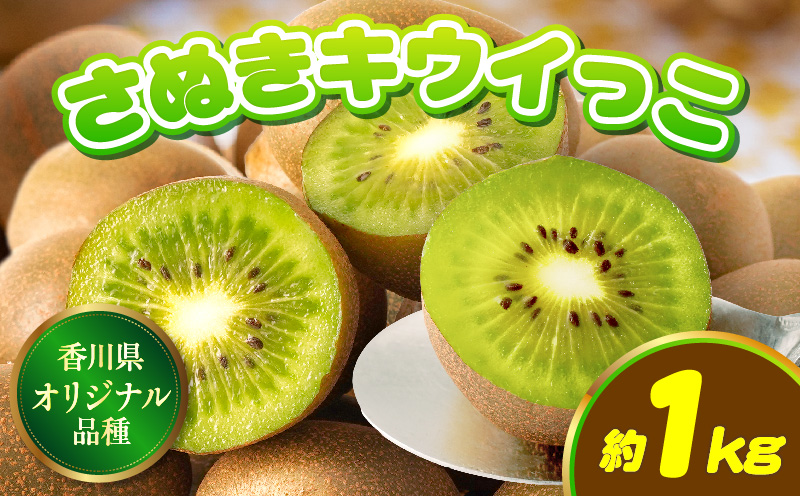 【先行受付】香川県オリジナルキウイフルーツ「さぬきキウイっこ」約1kg【香川県共通返礼品】 | キウイ キウイフルーツ 果物 フルーツ 青果 青果物 さぬきキウイっこ 果実 贈答 贈り物 ギフト 甘い 糖度が高い 季節のフルーツ 旬 おすすめ 香川県 三木町 |_mk006-053