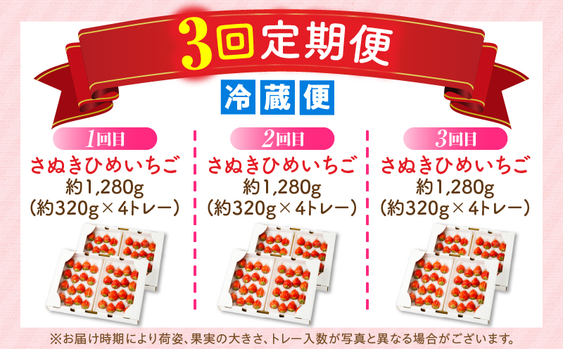 【2026年発送分 先行受付】苺音エコノミー　〜さぬきひめいちご約1,280g〜3回定期便 | おすすめ 人気 果実 果肉 果物 フルーツ デザート 贈り物 苺 さぬきひめ 贈答 ご褒美 ギフト 旬の果物 季節の果物 旬 季節 青果物 香川県 三木町 |_mk137-t001