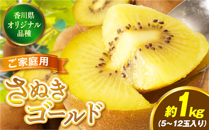 訳ありご家庭用さぬきゴールドキウイ約1kg【香川県共通返礼品】 | 果物 フルーツ さぬきゴールド キウイ キウイフルーツ フレッシュ ジューシー 香り 爽やか 旬の果物 人気 おすすめ 贈答 贈り物 青果物 糖度 香川県 三木町 |_mk006-095