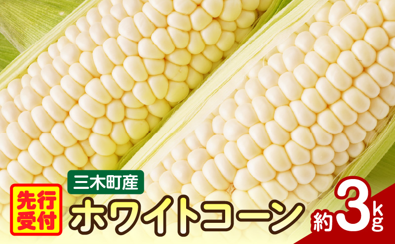 三木町産　ホワイトコーン　約3.0kg | とうもろこし 野菜 コーン 旬の野菜 旬 季節の野菜 季節 贈答 贈り物 ギフト プレゼント おすそ分け グルメ お取り寄せ 人気 おすすめ 特産 特産品 生鮮食品 香川県 三木町 |_mk006-019