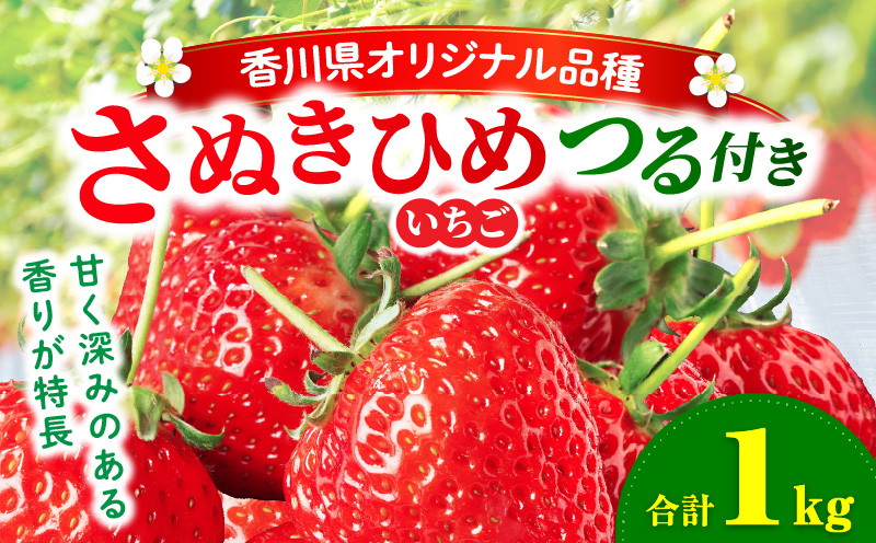 【先行予約】三木町地域いちご部会『さぬきひめ』　つる付き　1kg | スイーツ いちご ストロベリー イチゴ さぬき姫 さぬきひめ 苺 甘い 冷蔵 1kg以上 フルーツ 旬 果物 香川県 デザート 青果物 贈答 プレゼント 贈り物 おすすめ |_mk006-014