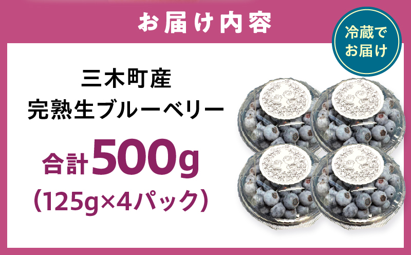 完熟生ブルーベリー約500g|生ブルーベリー 完熟 フルーツ 眼に良い フレッシュ ジューシー 香り 旬の果物 香川県 三木町 |_mk173-005