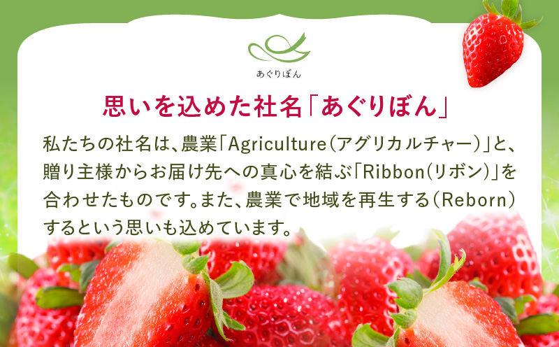 あぐりぼん　いちご「女峰」　詰め合わせ約1.4kg　（約700g×2箱）|いちご 果物 フルーツ デザート ストロベリー 果肉 スイーツ 甘い 国産 贈り物 贈答 プレゼント グルメ 人気 おすすめ 季節 旬 旬の果物 詰め合わせ 香川県 三木町 送料無料|_mk144-012
