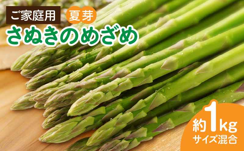 【先行受付】ご家庭用アスパラガス「さぬきのめざめ」(セミロング)夏芽 サイズ混合 約1kg | 野菜 アスパラ アスパラガス さぬきのめざめ 家庭用 夏 冷蔵 新鮮 香川県 三木町 セミロング おすすめ |_mk006-024