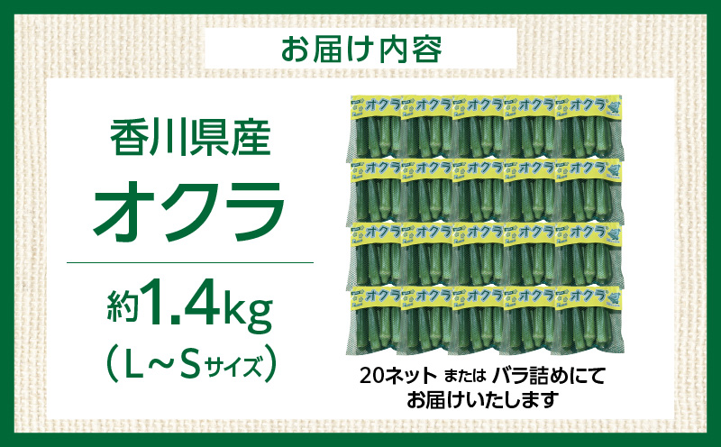 オクラ 約1.4kg |オクラ 野菜 ネバネバ 旬の野菜 旬 季節の野菜 季節 贈答 贈り物 ギフト プレゼント おすそ分け グルメ お取り寄せ 人気 おすすめ 特産 特産品 生鮮食品 香川県 三木町 |_mk006-122