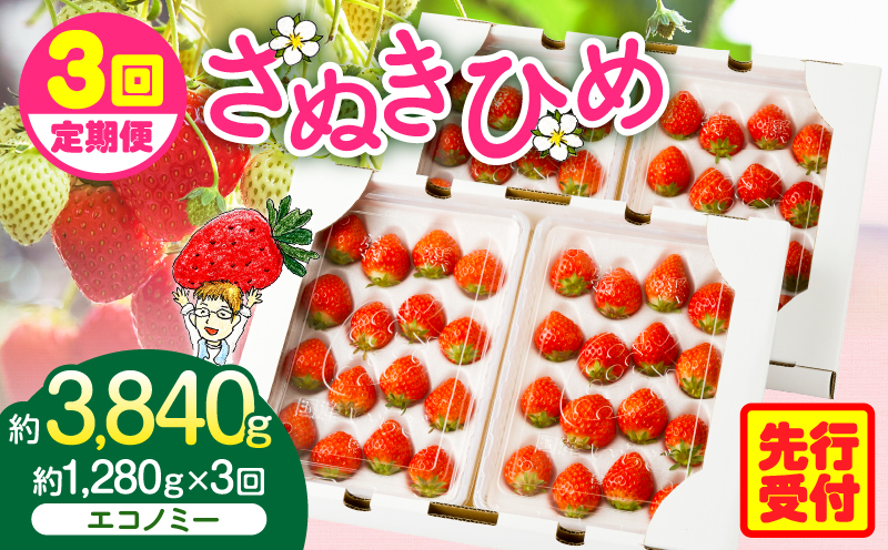 【2026年発送分 先行受付】苺音エコノミー　〜さぬきひめいちご約1,280g〜3回定期便 | おすすめ 人気 果実 果肉 果物 フルーツ デザート 贈り物 苺 さぬきひめ 贈答 ご褒美 ギフト 旬の果物 季節の果物 旬 季節 青果物 香川県 三木町 |_mk137-t001
