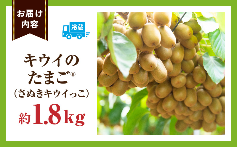 ããŠã€ãã«ãŒã(ããŠã€ã®ããŸã?)(ããŠã€ã£ã) 1.8kg | ããŠã€ ãã«ãŒã æç© æ¬ æ¬ã®æç© ããŠã€ãã«ãŒã ãã¶ãŒã çé®®é£å èŽãç© èŽç ã裟åã ãããã äººæ° ã®ãã ã°ã«ã¡ ç¹ç£å æè å£ç¯ å£ç¯ã®æç© éŠå·ç äžæšçº |_mk165-008