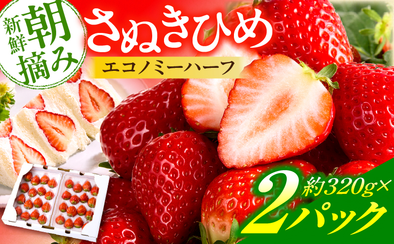 【先行予約】苺音エコノミーハーフ ～気軽に楽しむさぬきひめいちご～ 約640g おすすめ 人気 果実 果肉 果物 フルーツ デザート 贈り物 苺 さぬきひめ 贈答 ご褒美 ギフト 旬の果物 季節の果物 旬 季節 青果物 香川県 三木町 _mk137-009