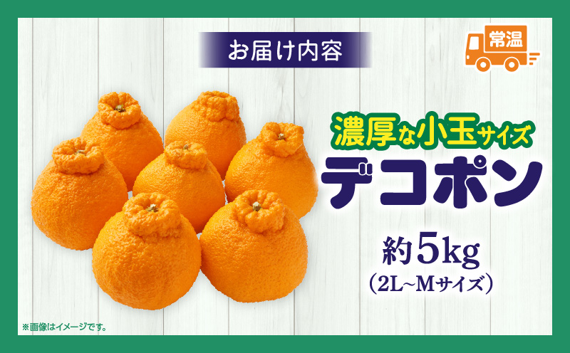 【先行予約】【期間限定！】甘みと酸味の共演・濃厚「デコポン」（濃厚な小玉サイズ）約5kg【香川県共通返礼品】 | デコポン 甘い 酸味 柑橘 柑橘系 果物 フルーツ 青果 デザート グルメ おすすめ 贈答 贈り物 贈答用 ギフト プレゼント 特産品 特産 取り寄せ 香川県 三木町 |_mk006-091