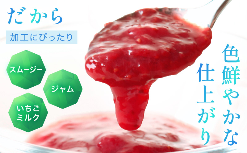 【苺ファーム森本】完熟女峰の冷凍いちご 450g×2袋 ≪IDOMALL セレクト≫|スイーツ いちご ストロベリー 女峰 苺 ジャム いちごジャム 冷凍 フルーツ 旬 果物 香川県 デザート 青果物 贈答 プレゼント 贈り物 おすすめ|_mk048-010