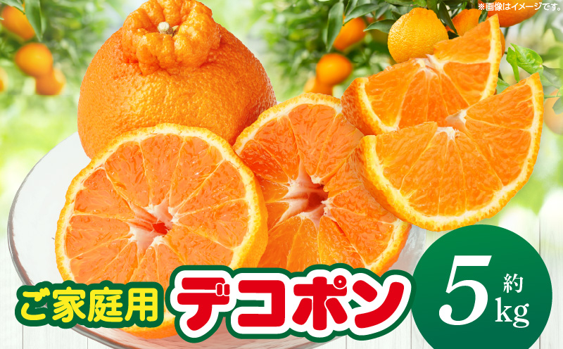 【先行予約】【期間限定！】甘みと酸味の共演・濃厚「デコポン」（ご家庭用）約5kg【香川県共通返礼品】 | デコポン 甘い 酸味 柑橘 柑橘系 果物 フルーツ 青果 デザート グルメ おすすめ ご家庭用 生産者応援 ギフト プレゼント 特産品 特産 取り寄せ 香川県 三木町 |_mk006-092