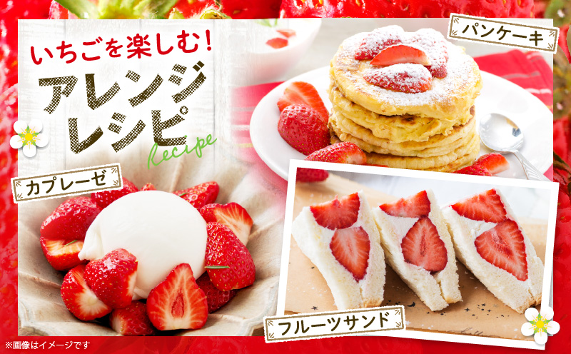 【先行受付】【年内発送】三木町地域いちご部会「さぬきひめ」約500gDXパック  スイーツ いちご ストロベリー イチゴ さぬき姫 さぬきひめ 苺 甘い 大粒 冷蔵 フルーツ 旬 果物 香川県 デザート 青果物 贈答 プレゼント 贈り物 おすすめ mk006-085