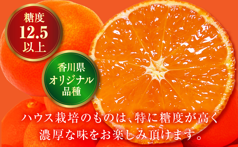 ãå
è¡åä»ãããŠã¹ãã¬ãçŽ
ã¿ãã çŽ1kg 10-18ç (åç²§ç®±å
¥ã)ãéŠå·çå
±éè¿ç€Œåã|ãã¬ã ãã¬ãçŽ
ã¿ãã çŽ
ã¿ãã å°åæ©ç å°åæ©çã¿ãã æäžéçŽ åç²§ç®± èŽãç© èŽããã® ã®ãã å³éž æç© ãã«ãŒã äººæ° éŠå· éŠå·ç äžæšçº ããŠã¹æ œå¹ ãžã¥ãŒã·ãŒ ç³åºŠãé«ã å
è¡åä» å
è¡äºçŽ å£ç¯éå® æ¬ ãããã |_mk006-045
