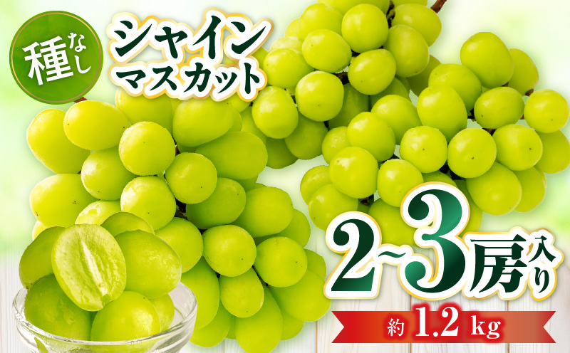【先行受付】シャインマスカット 2〜3房入り(約1.2kg) | マスカット ぶどう ブドウ 葡萄 果物 フルーツ 人気 香川 香川県 三木町 種なし 皮ごと食べられる ジューシー 旬 おすすめ |_mk006-034