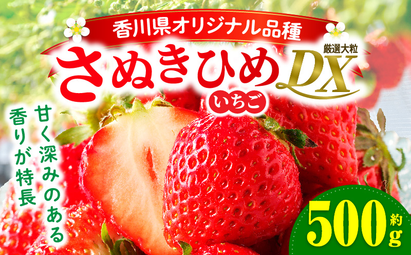 【先行受付】【年内発送】三木町地域いちご部会「さぬきひめ」約500gDXパック  スイーツ いちご ストロベリー イチゴ さぬき姫 さぬきひめ 苺 甘い 大粒 冷蔵 フルーツ 旬 果物 香川県 デザート 青果物 贈答 プレゼント 贈り物 おすすめ mk006-085