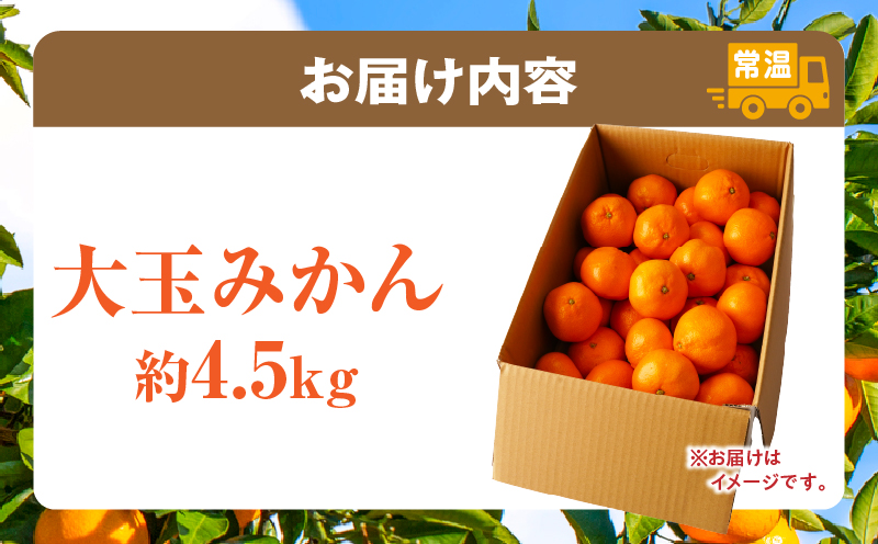 【先行受付】大玉みかん 約4.5kg | 大玉みかん 大玉 みかん ミカン 蜜柑 オレンジ 柑橘 柑橘系 果物 フルーツ 青果 おすすめ お取り寄せ ギフト 香川県 三木町 |_mk006-055