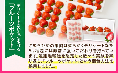【2026年発送分 先行受付】苺音エコノミー　〜さぬきひめいちごがいっぱい〜　約1,280g | おすすめ 人気 果実 果肉 果物 フルーツ デザート 贈り物 苺 さぬきひめ 贈答 ご褒美 ギフト 旬の果物 季節の果物 旬 季節 青果物 香川県 三木町 |_mk137-001