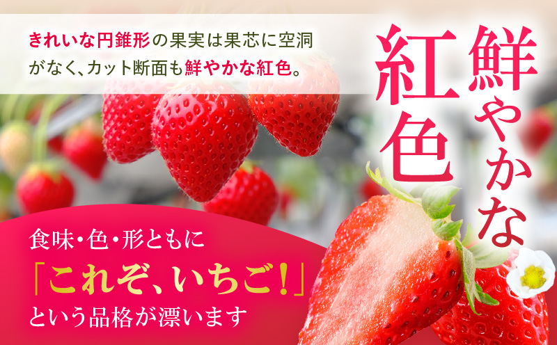 あぐりぼん　いちご「女峰」　詰め合わせ約1.4kg　（約700g×2箱）|いちご 果物 フルーツ デザート ストロベリー 果肉 スイーツ 甘い 国産 贈り物 贈答 プレゼント グルメ 人気 おすすめ 季節 旬 旬の果物 詰め合わせ 香川県 三木町 送料無料|_mk144-012