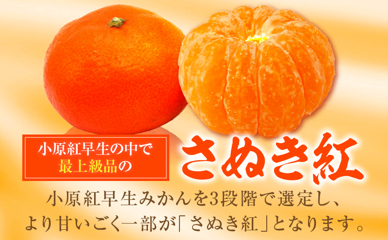 ãå
è¡åä»ãããŠã¹ãã¬ãçŽ
ã¿ãã çŽ1kg 10-18ç (åç²§ç®±å
¥ã)ãéŠå·çå
±éè¿ç€Œåã|ãã¬ã ãã¬ãçŽ
ã¿ãã çŽ
ã¿ãã å°åæ©ç å°åæ©çã¿ãã æäžéçŽ åç²§ç®± èŽãç© èŽããã® ã®ãã å³éž æç© ãã«ãŒã äººæ° éŠå· éŠå·ç äžæšçº ããŠã¹æ œå¹ ãžã¥ãŒã·ãŒ ç³åºŠãé«ã å
è¡åä» å
è¡äºçŽ å£ç¯éå® æ¬ ãããã |_mk006-045