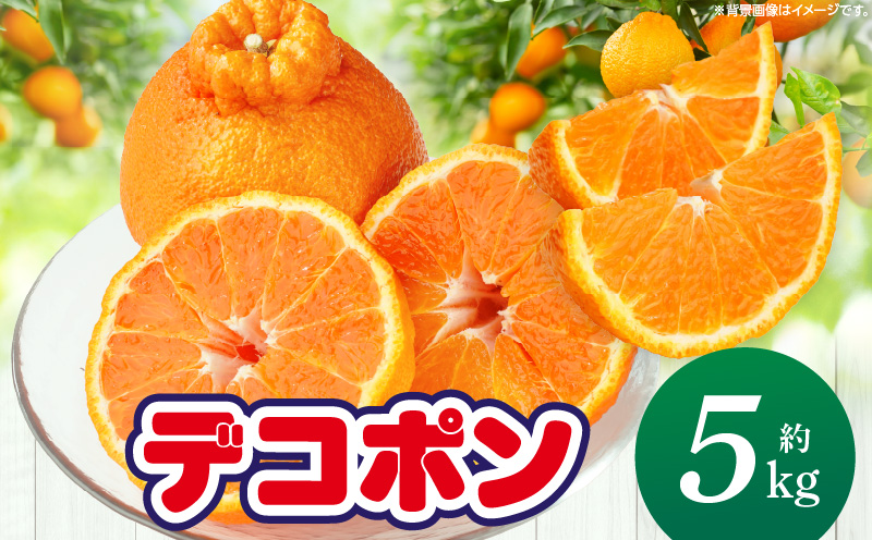 【先行予約】【期間限定！】甘みと酸味の共演・濃厚「デコポン」約5kg【香川県共通返礼品】 | デコポン 甘い 酸味 柑橘 柑橘系 果物 フルーツ 青果 デザート グルメ おすすめ 贈答 贈り物 贈答用 ギフト プレゼント 特産品 特産 取り寄せ 香川県 三木町 |_mk006-090