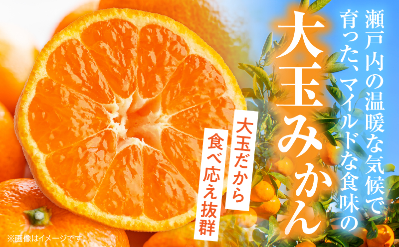 【先行受付】大玉みかん 約4.5kg | 大玉みかん 大玉 みかん ミカン 蜜柑 オレンジ 柑橘 柑橘系 果物 フルーツ 青果 おすすめ お取り寄せ ギフト 香川県 三木町 |_mk006-055